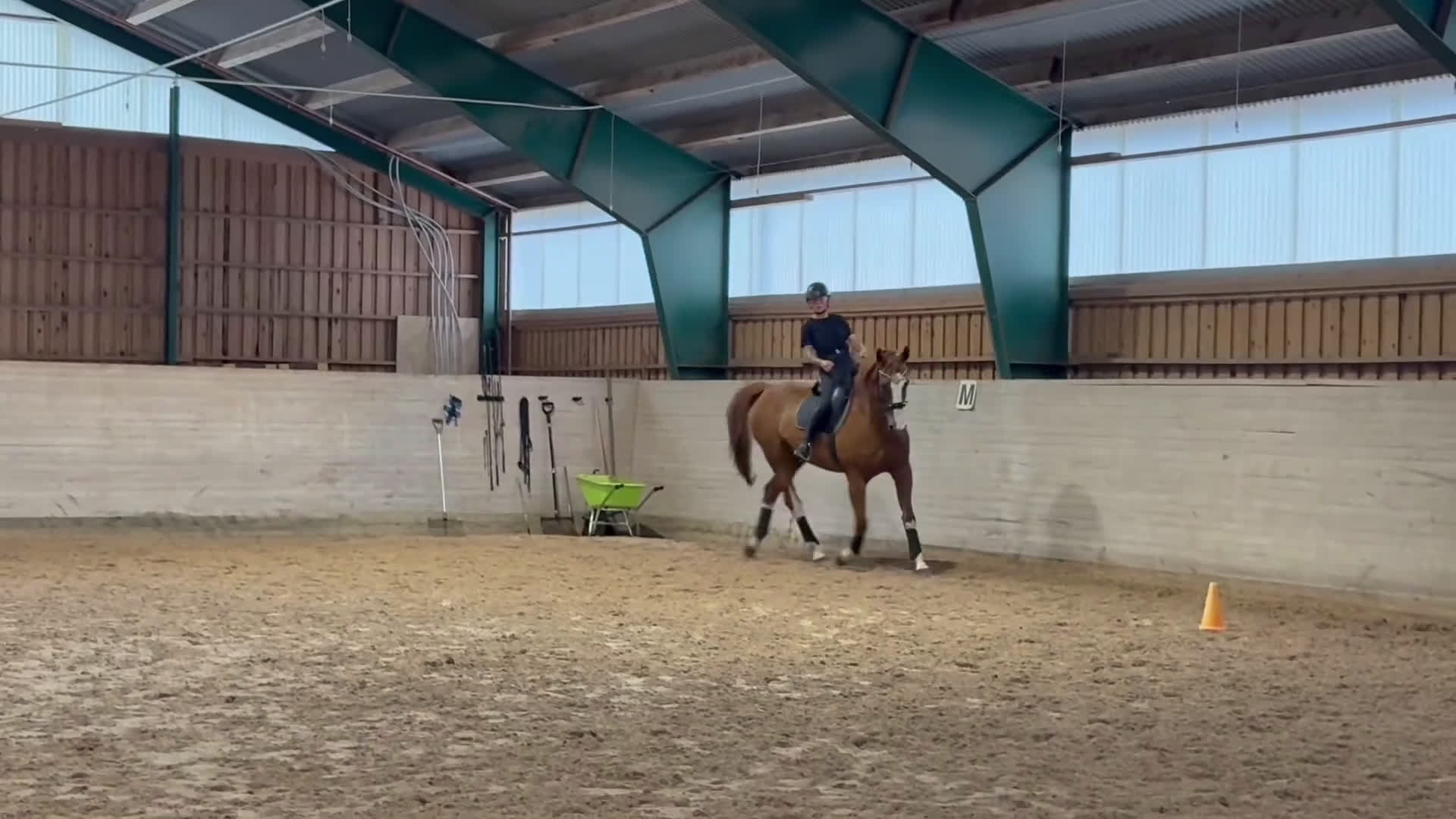 Dressyr hästar till salu: Lyxig hobbyhäst  i Sunne - Video 1