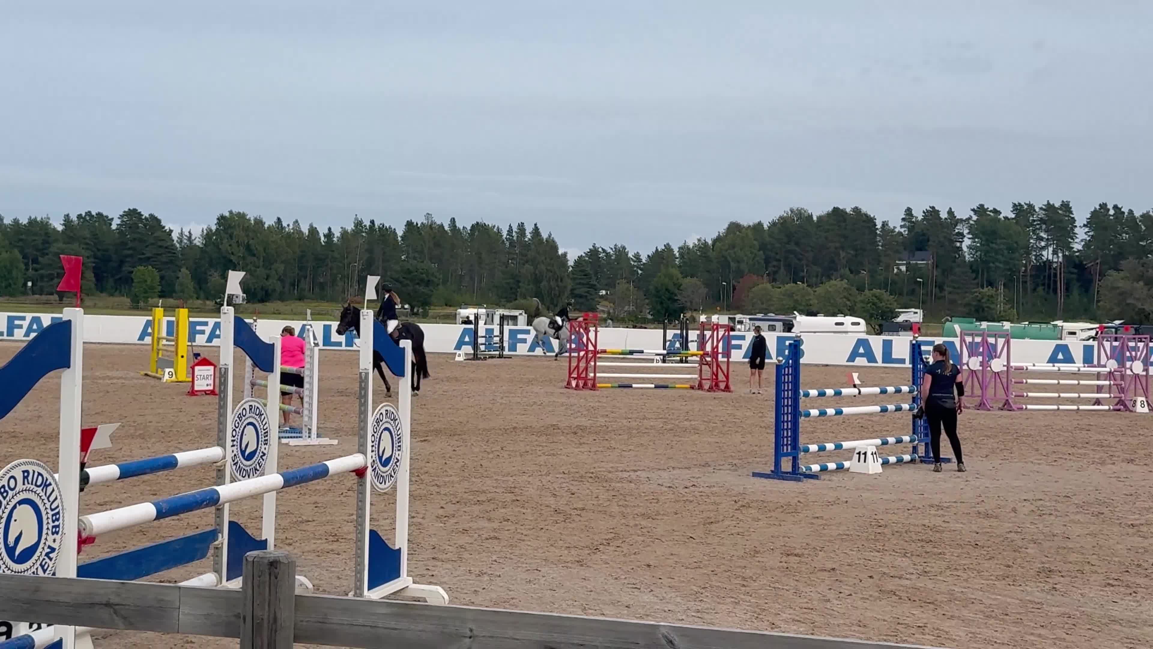 Hoppning hästar till salu: Gullig häst med mycket kapacitet - Video 2
