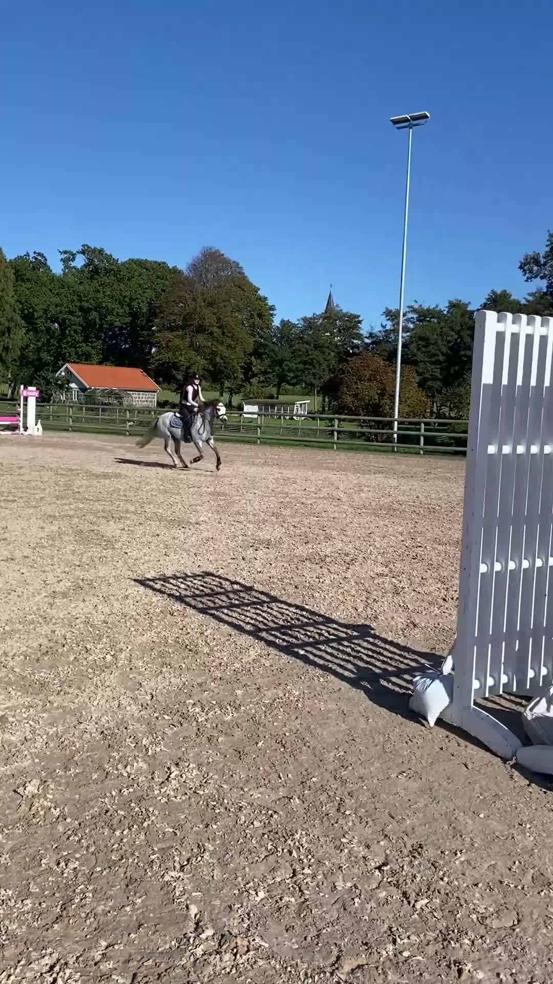 Allround hästar till salu: Dröm ponny  - Video 4