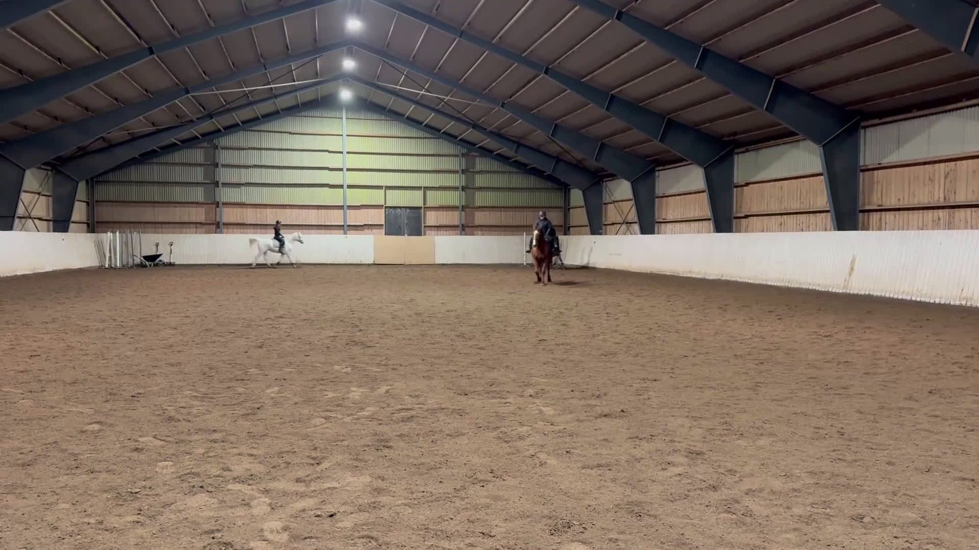 Dressyr hästar till salu: Snäll trevlig valack - Video 1