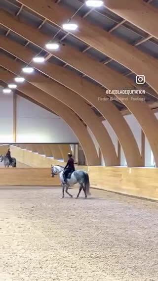 Dressyr hästar till salu: *nytt pris* väluppfostrat sto med energi i Nyköping - Video 1