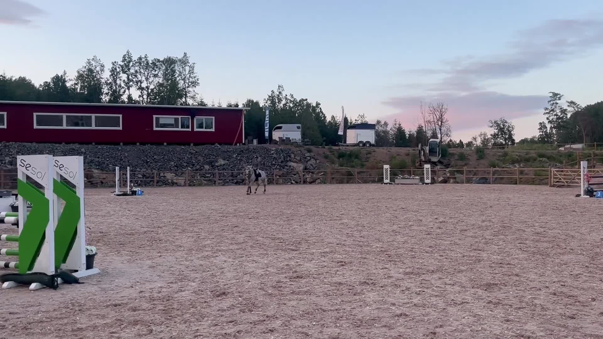 Allround hästar till salu: Fin tävlingsponny - Video 4