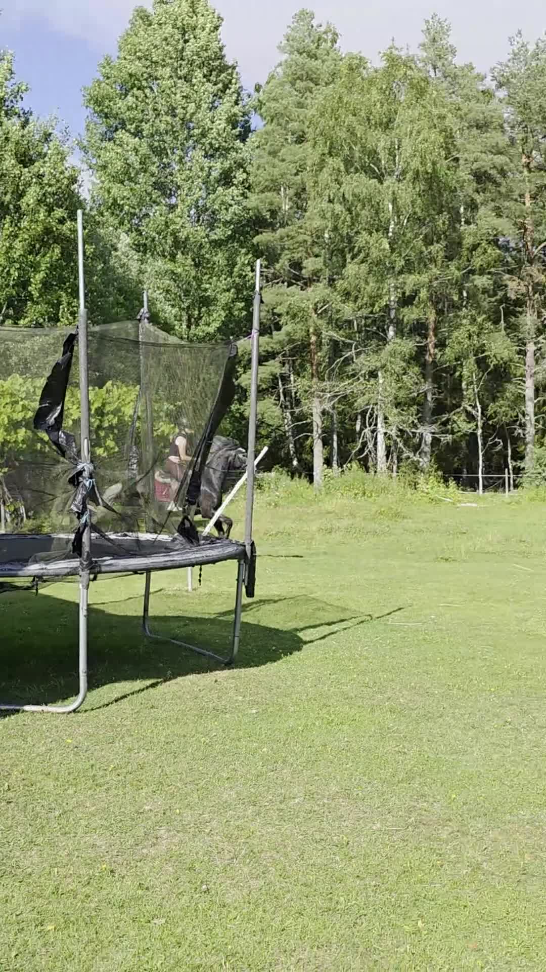 Hoppning hästar till salu: Super fin ungponny  - Video 2