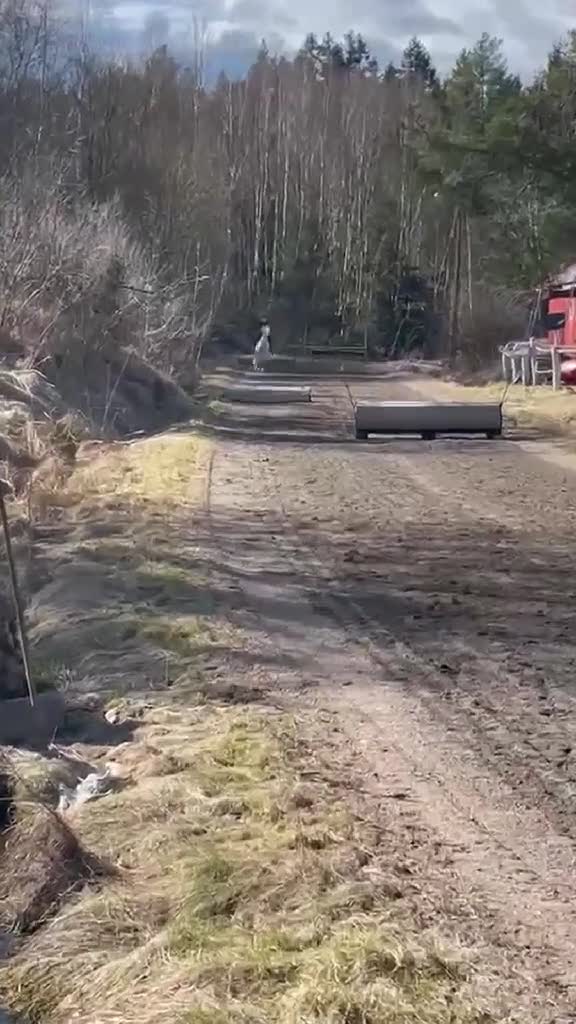 Allround hästar till salu: Supersnäll allround ponny i Vargön - Video 2