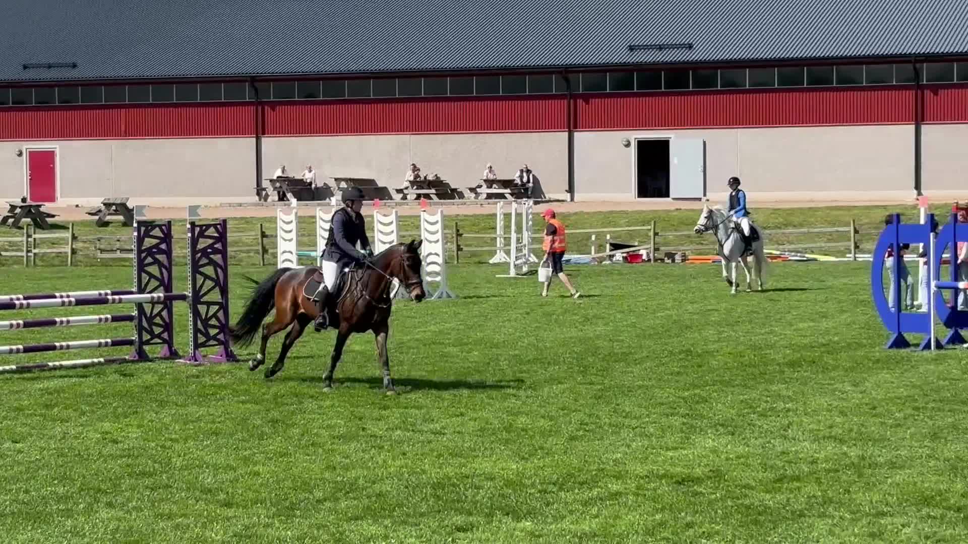 Hoppning hästar till salu: Charmig D-ponny i Rydsgård - Video 1