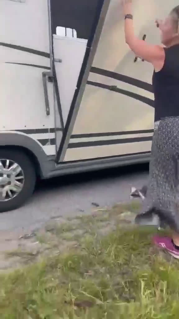 Övrigt hästar till salu: Iögonfallande bästis söker nya äventyr i Märsta - Video 2