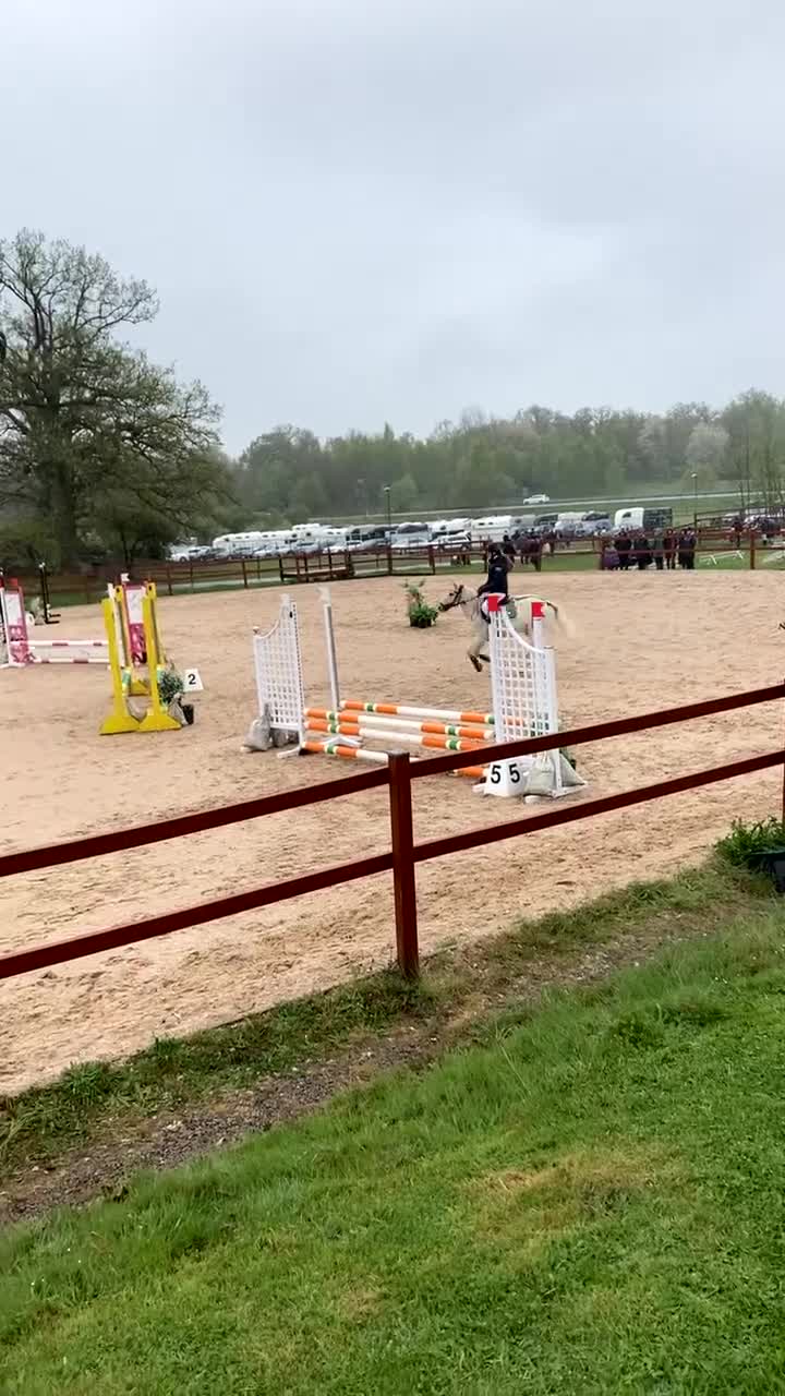 Allround hästar till salu: Vår underbar Älva letar nu nytt hem🌟 - Video 2