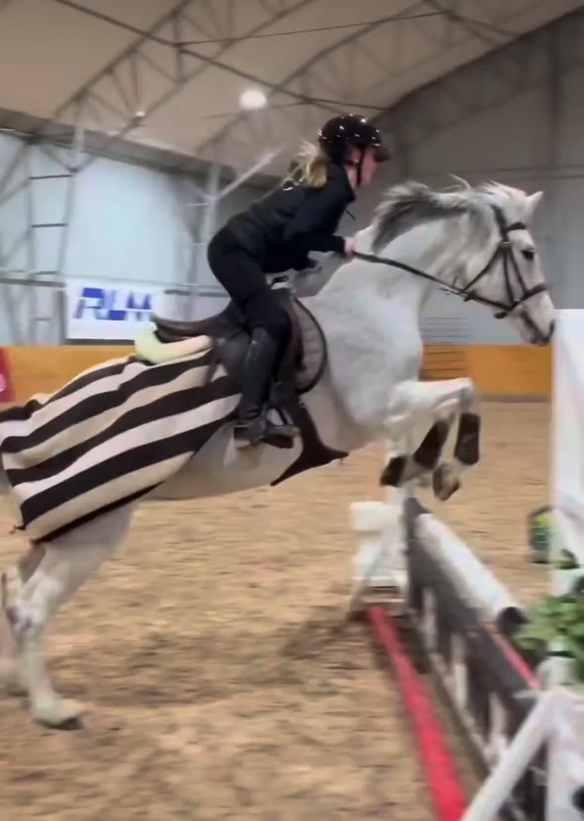 Hoppning hästar till salu: Perfekt läromästare! i Västra Tunhem - Video 2