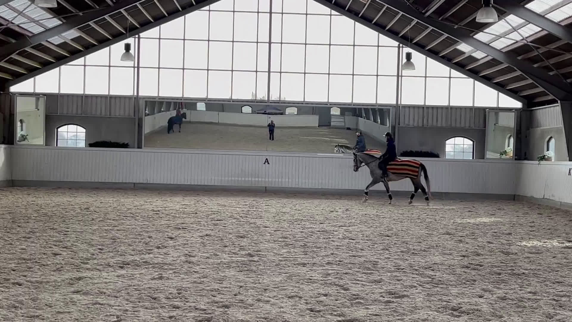 Allround hästar till salu: SWB valack - Video 4