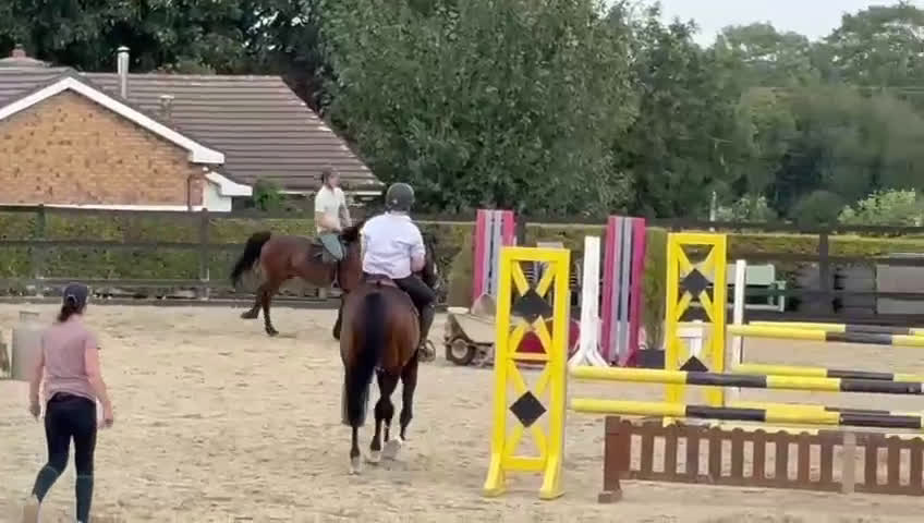 Hoppning hästar till salu: Amazing pony i Göteborg - Video 1