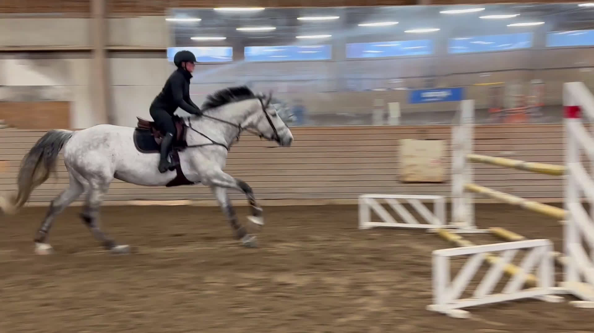 Hoppning hästar till salu: Sto med världens största hjärta! i Kungsängen - Video 3