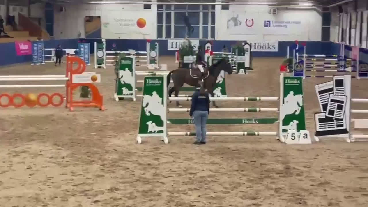 Hoppning hästar till salu: Rutinerad childrens häst  - Video 2