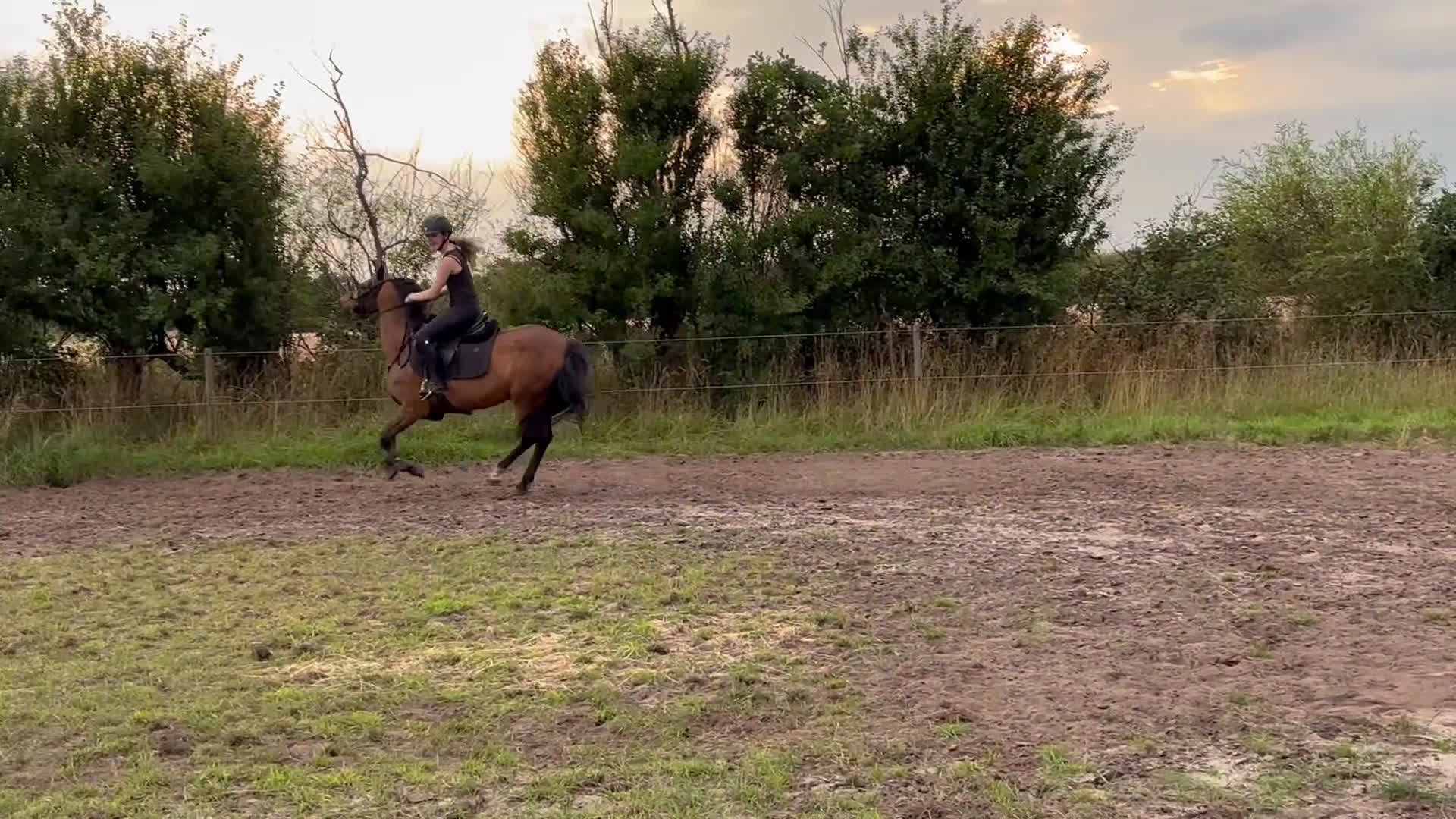 Hoppning hästar till salu: Fantastisk springpony  - Video 1
