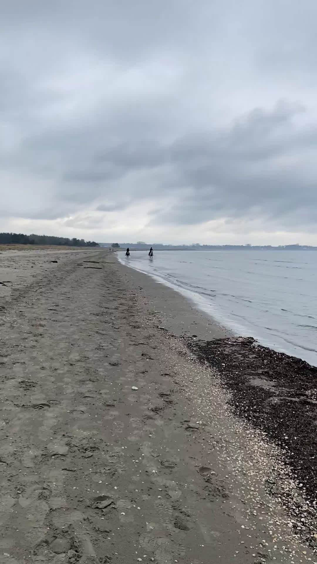 Hoppning hästar till salu: Fin D-ponny, sto, född 2011, 148 cm  - Video 2