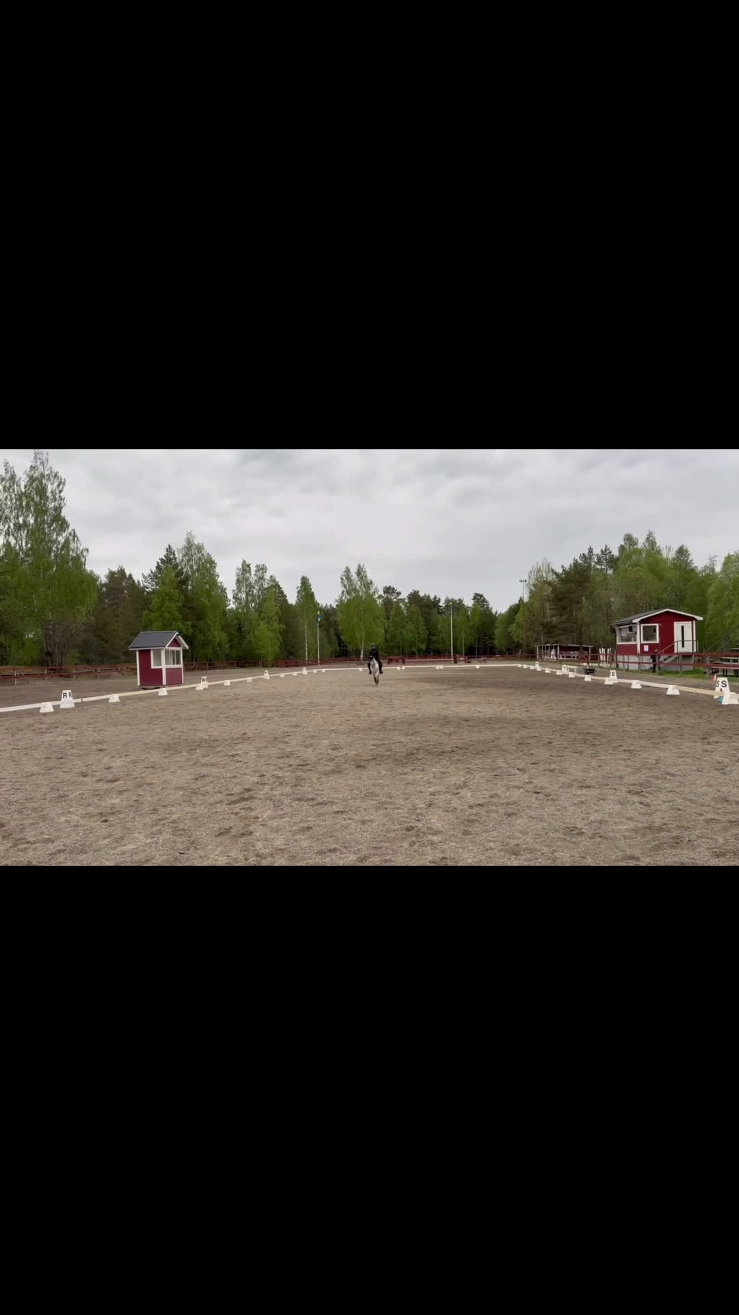 Dressyr hästar till salu: Vacker och personlig C-ponny söker sitt nästa hem i Hudiksvall - Video 1