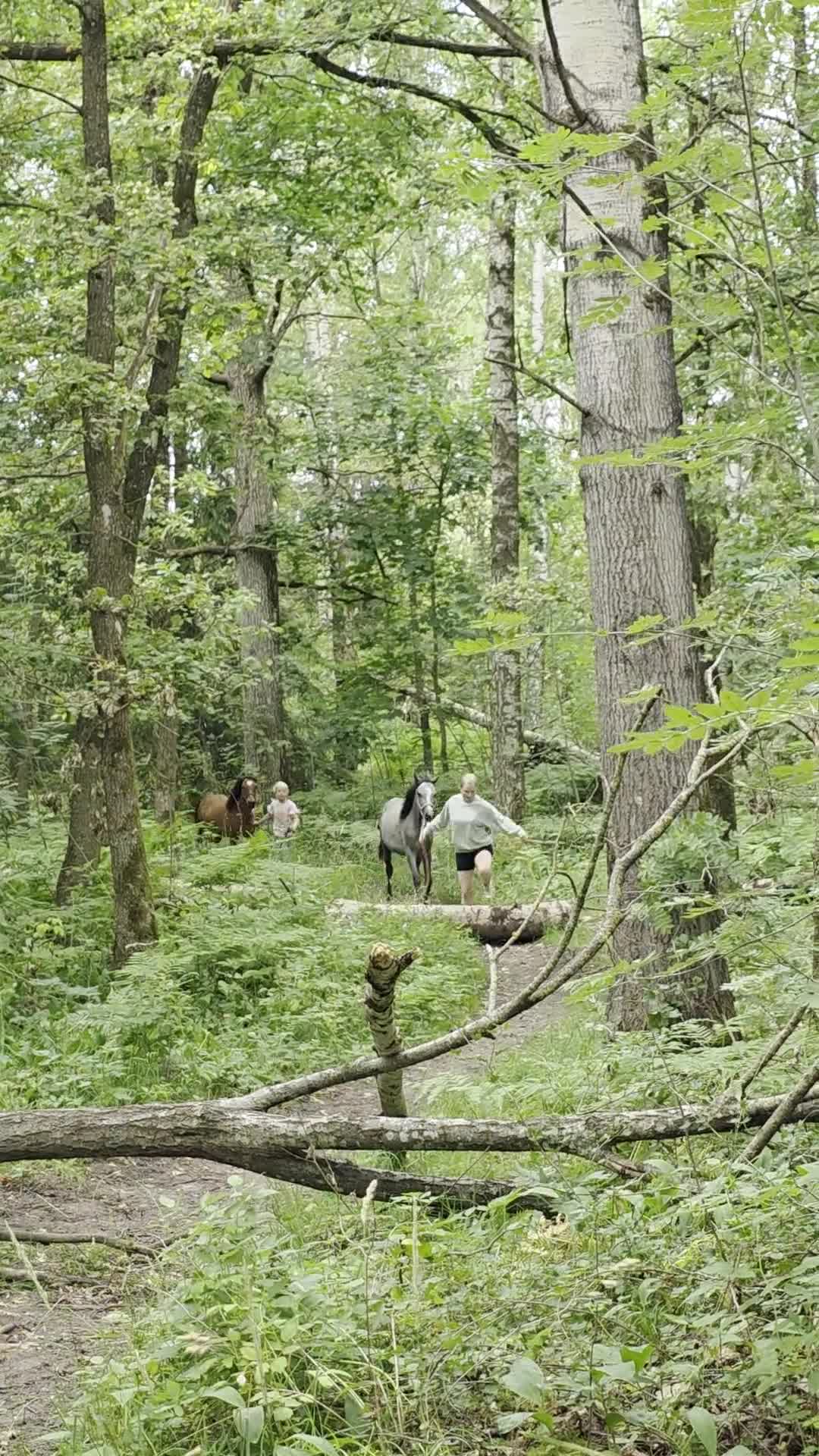 Allround hästar till salu: Välhanterad 1åring Bponny - Video 3