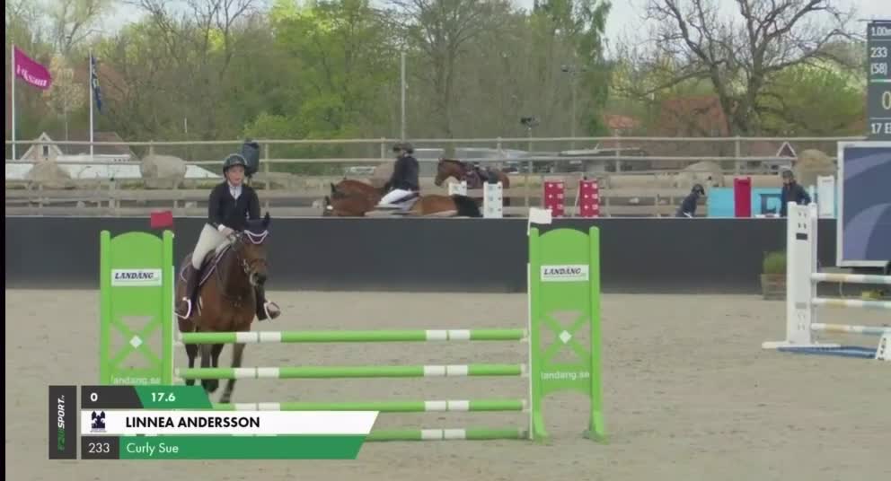 Allround hästar till salu: ⭐️TALANGFULLT STO MED DE LILLA EXTRA⭐️ - Video 1