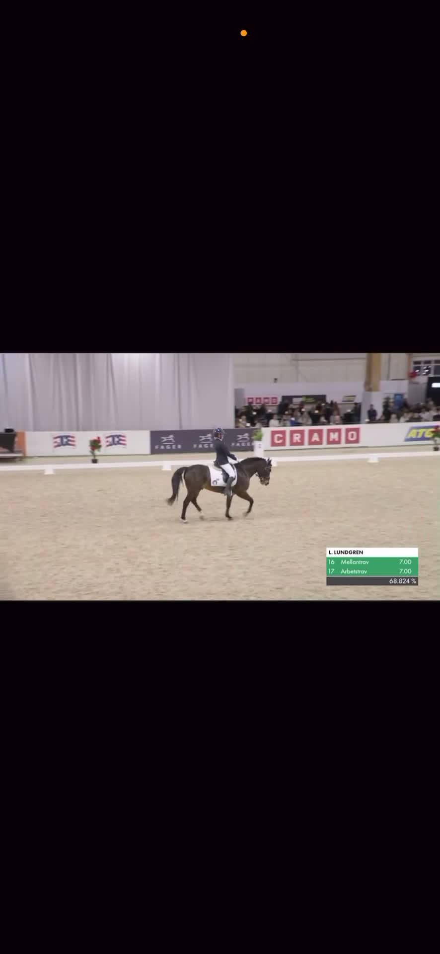 Dressyr hästar till salu: Superfin maxad C-Ponny - Video 1