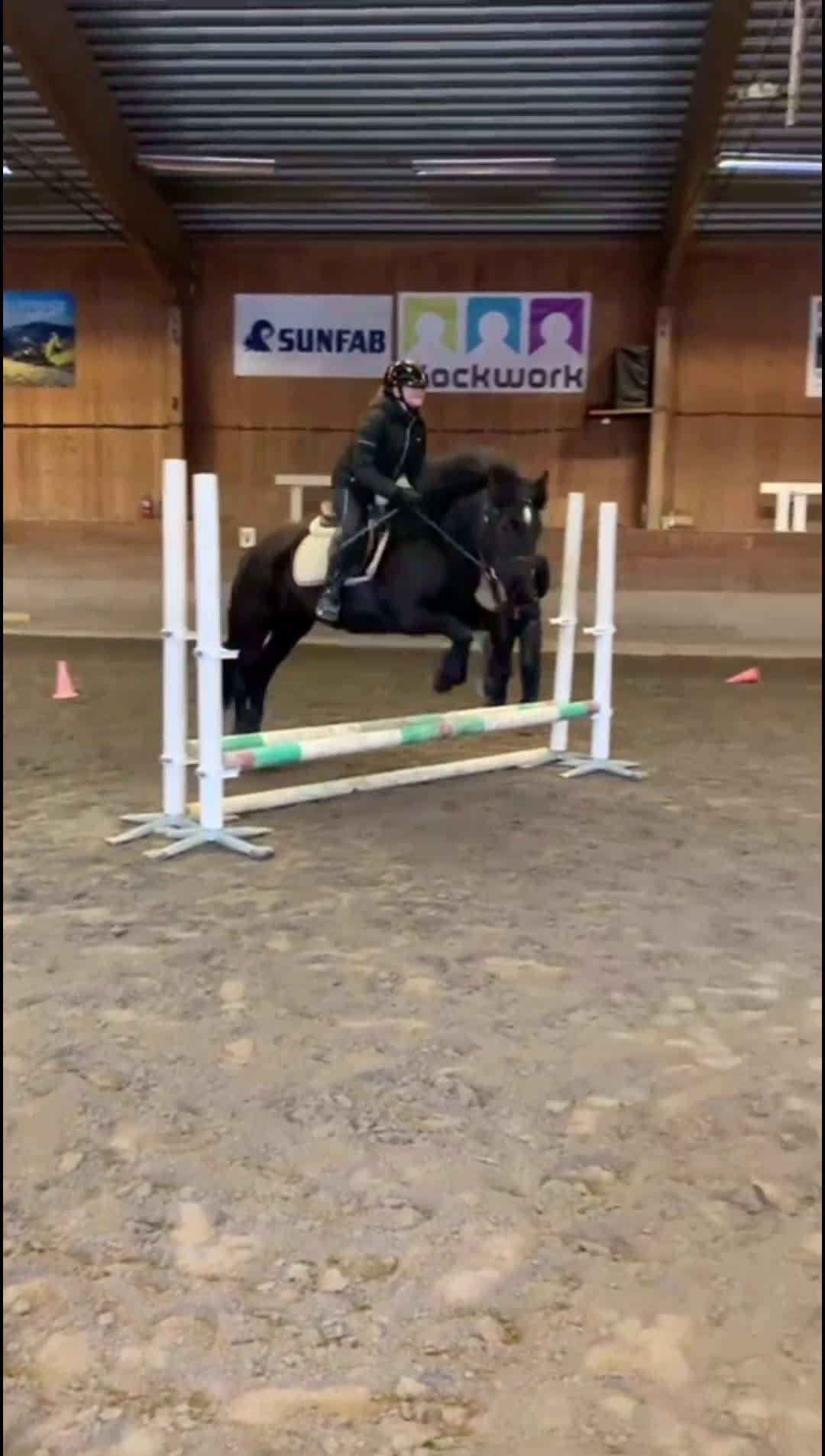 Allround hästar sökes: Hästvan familj söker ponny eller häst att låna💕 - Video 1