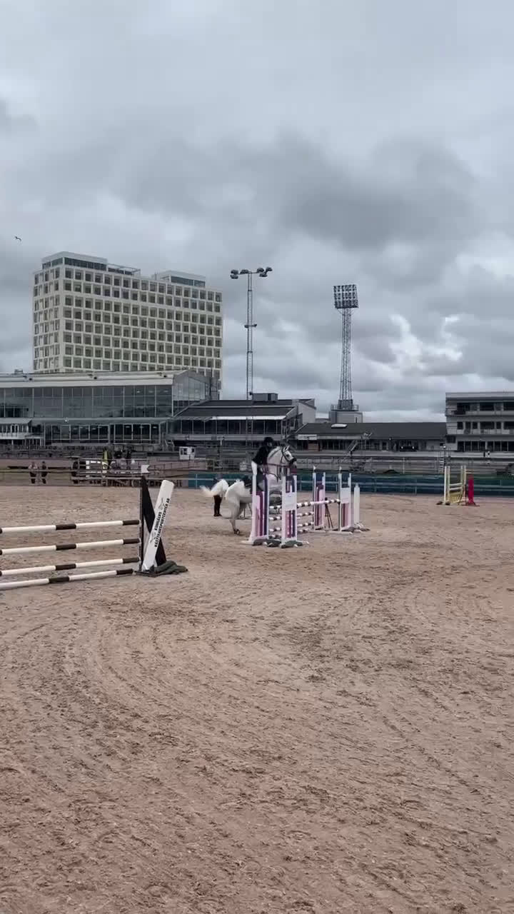 Hoppning hästar till salu: Rutinerad träning och tävlingskompis i Billdal - Video 1