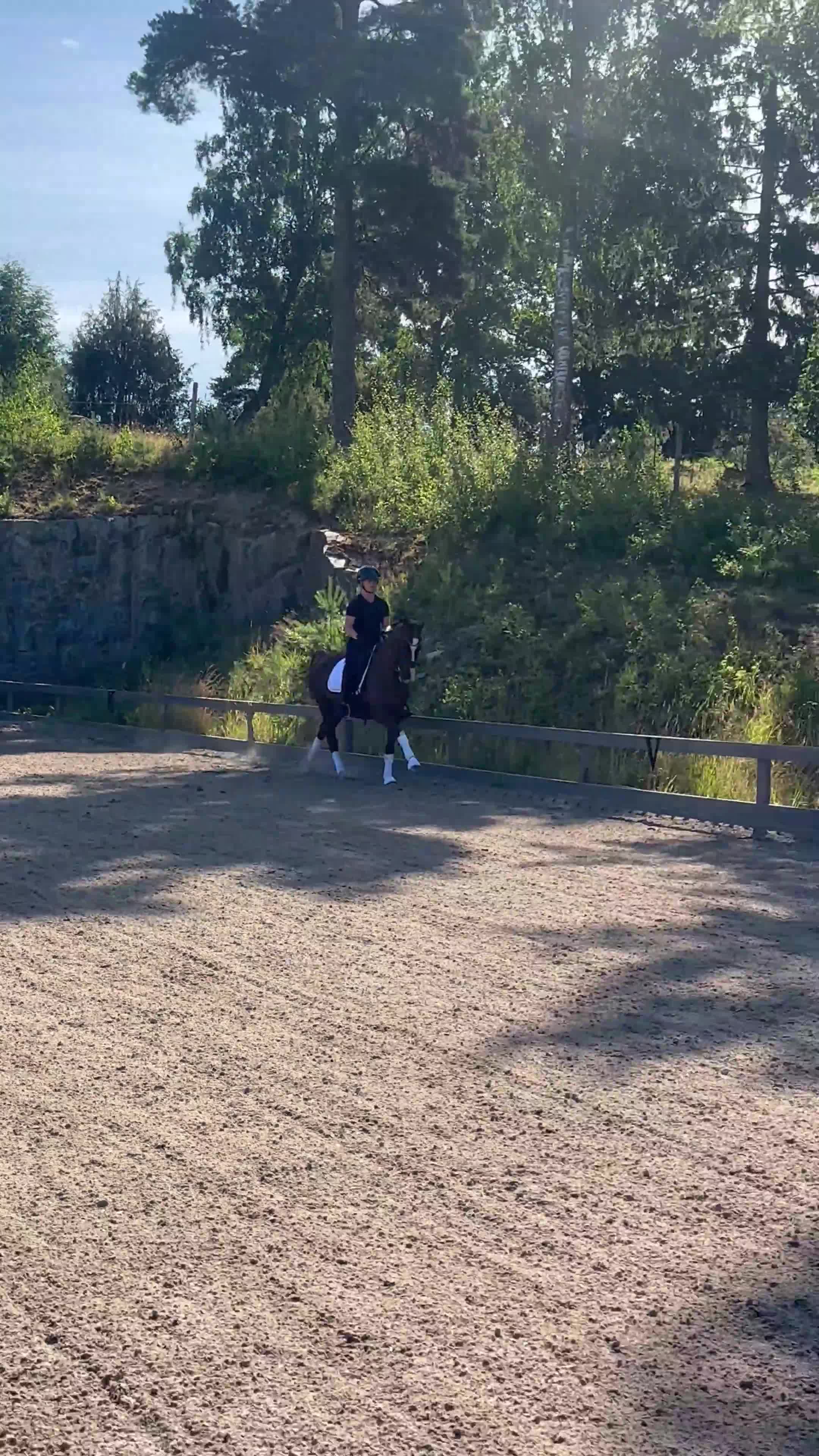 Dressyr hästar till salu: FEI ponny till salu - Video 2