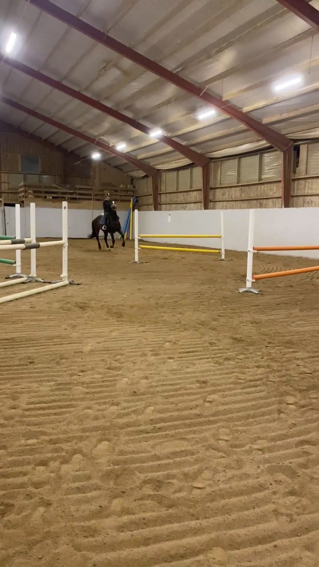 Avelshästar hästar till salu: Avelssto/Sällskap/Promenad häst - Video 2