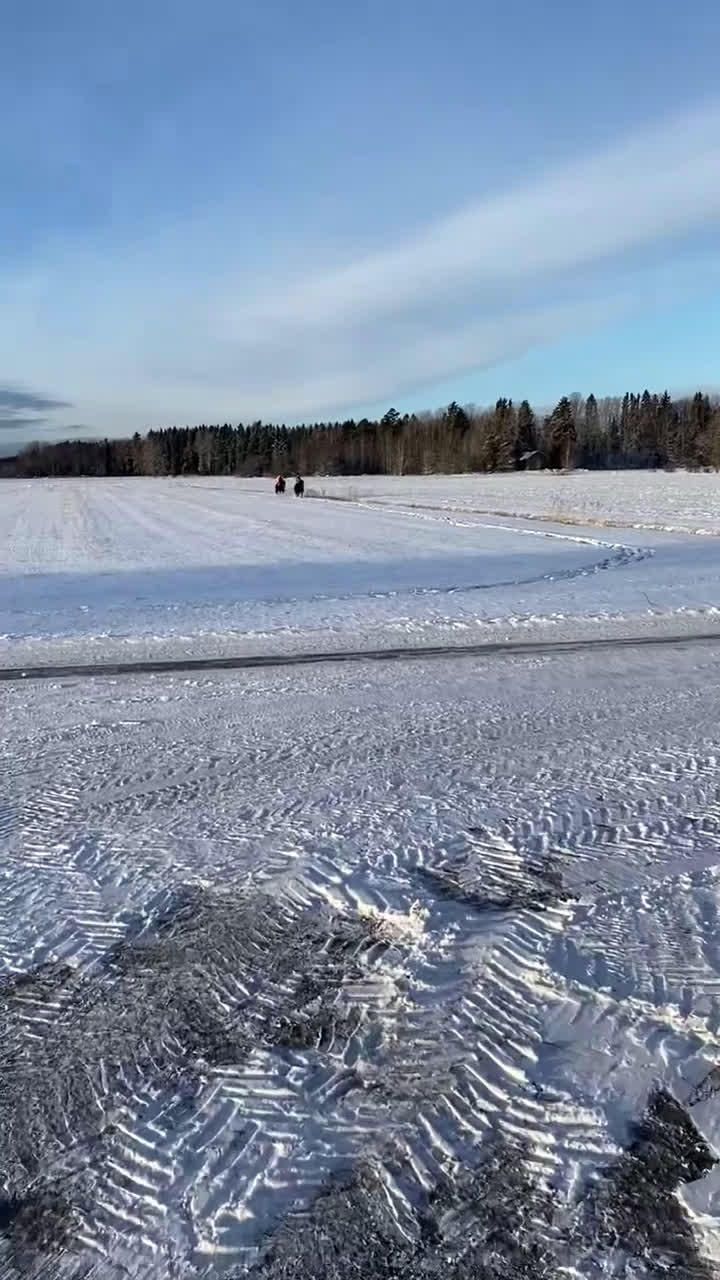Allround hästar till salu: Två underbara valacker till salu i Månkarbo - Video 1