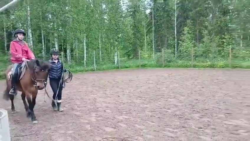 Hoppning hästar till salu: Weldh part-bred B-ponny i Helsingfors - Video 1