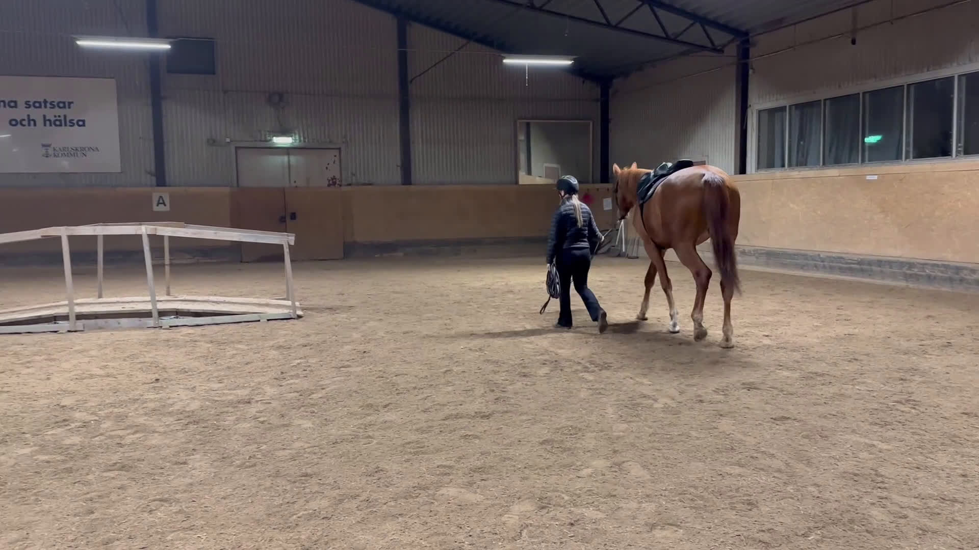 Hoppning hästar till salu: Vackert lovande sto i Karlskrona - Video 2