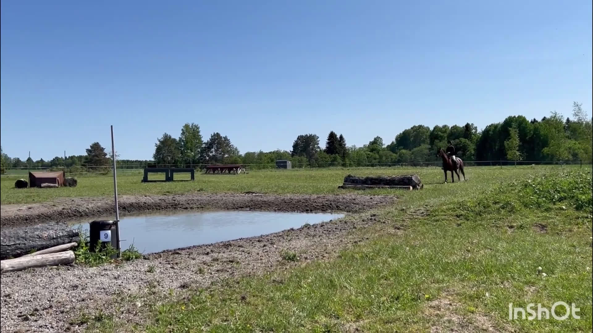 Hoppning hästar till salu: Rolig häst med kapacitet i alla grenar! i Kil - Video 3