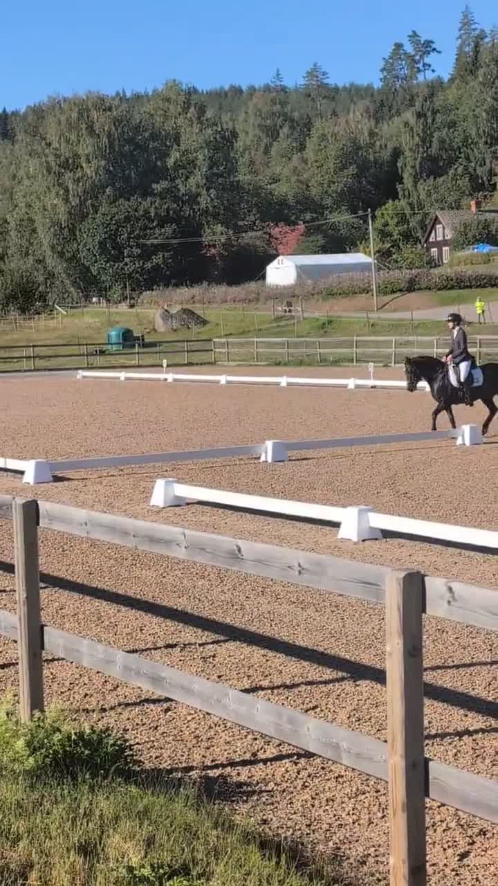 Allround hästar till salu: Superhärlig sportponny - Video 4