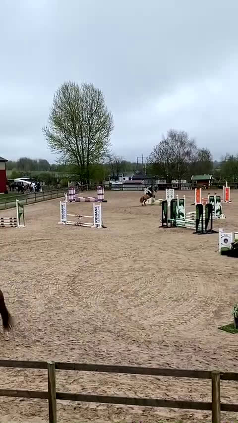 Allround hästar till salu: Akut söker vi nu ett gott hem till vår prinsessa!  - Video 2