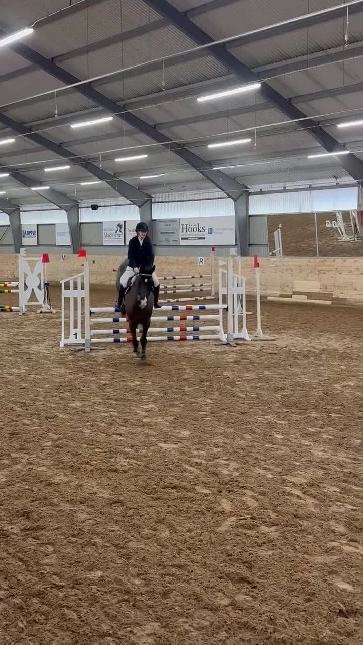 Hoppning hästar till salu: Trevlig valack 9 år (SWB) - Video 2