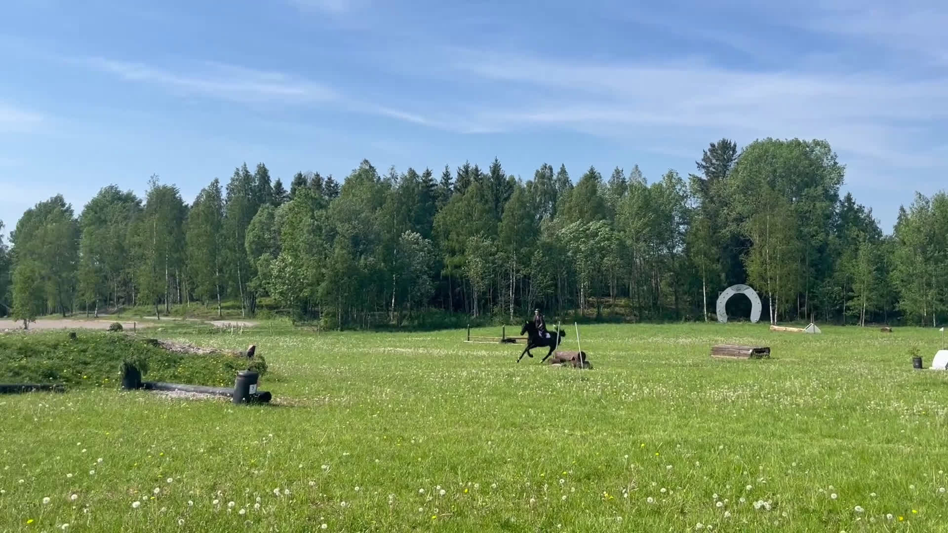  foderhäst sökes: Söker en hoppglad kompis!  i Kil - Video 3