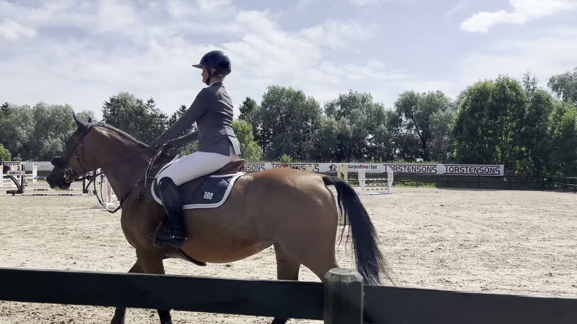 Hoppning hästar till salu: Bästa vän och tävlingshäst i Örebro - Video 2