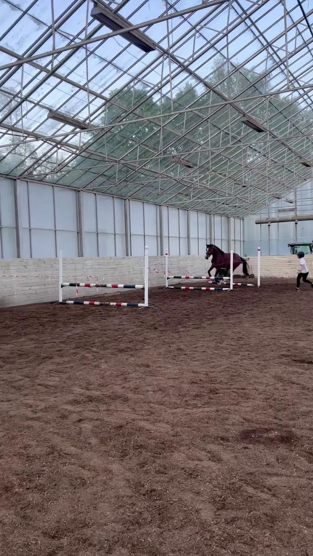 Hoppning hästar till salu: 3-årigt sto till ett mkt bra pris! i Tungelsta - Video 2