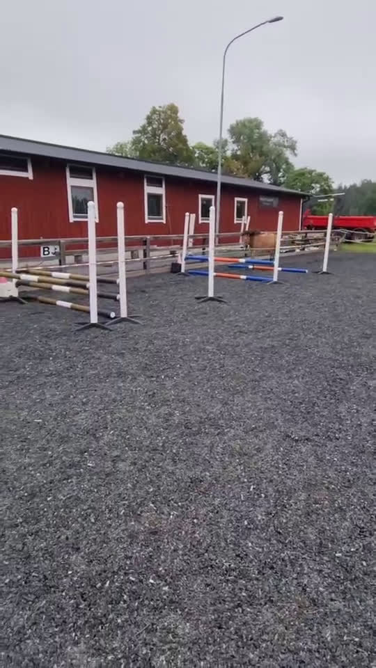 Allround hästar till salu: *Sänkt pris* Russto f. 2020, ca 122 cm i Gusum - Video 2