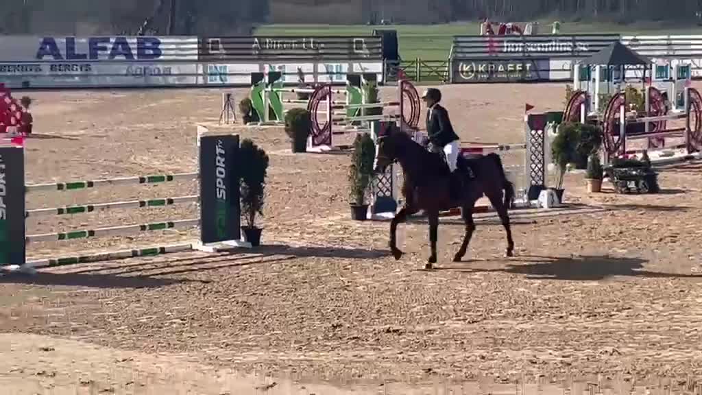 Hoppning hästar till salu: Lovande 6-årigt sto med toppstam i Blentarp - Video 3