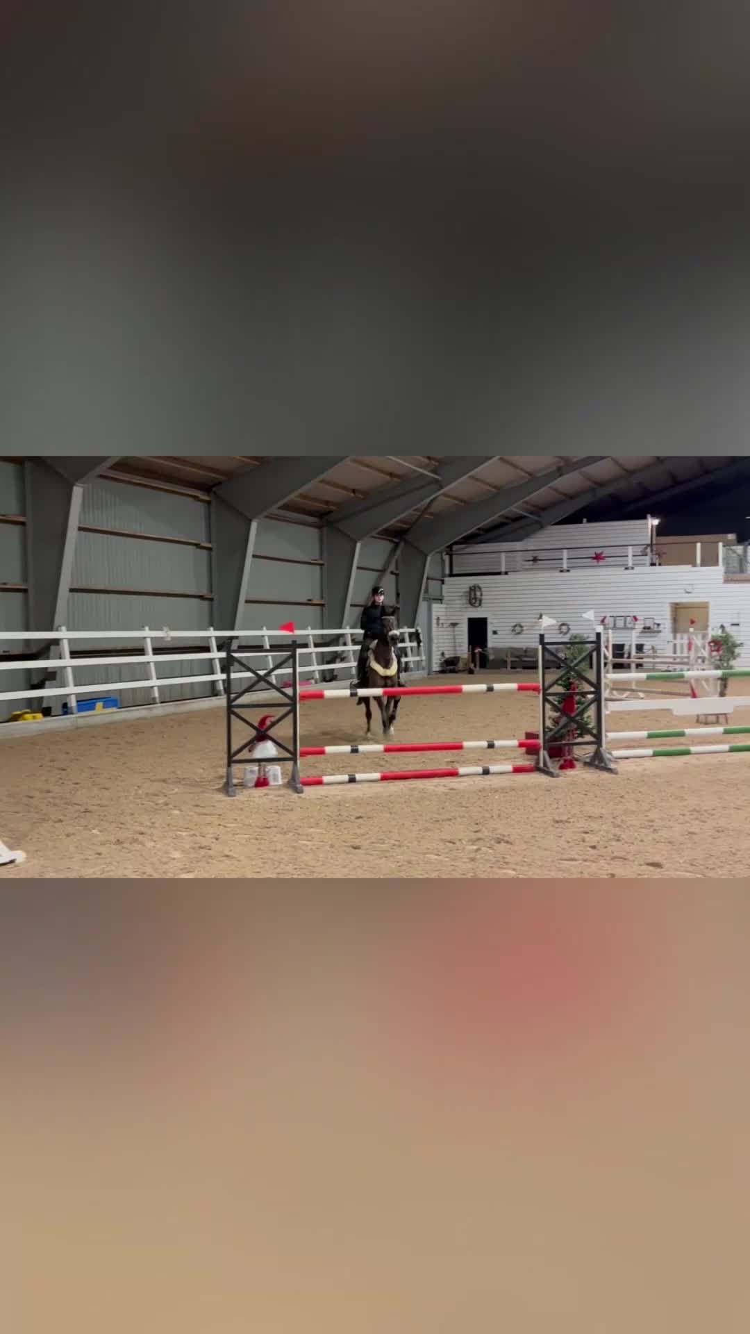 Allround hästar till salu: Trevligt sto med power  i Älvängen - Video 3