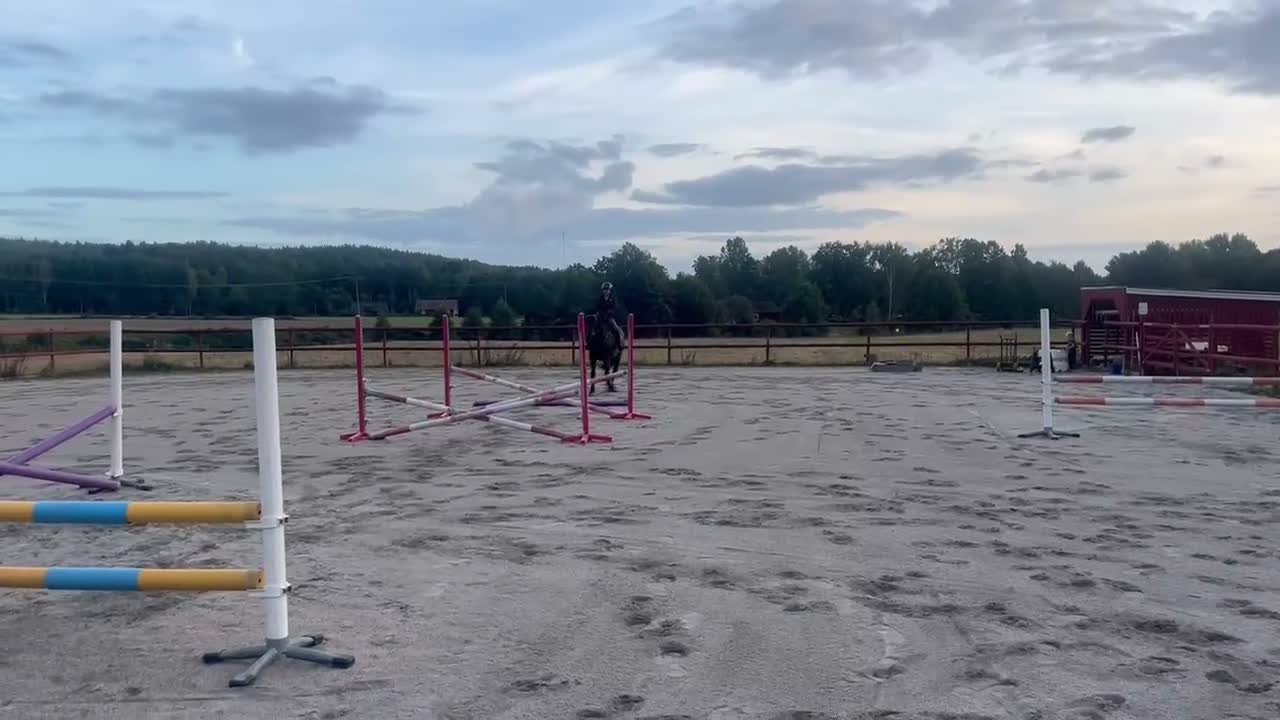 Hoppning hästar till salu: Hopphäst med potential - Video 1