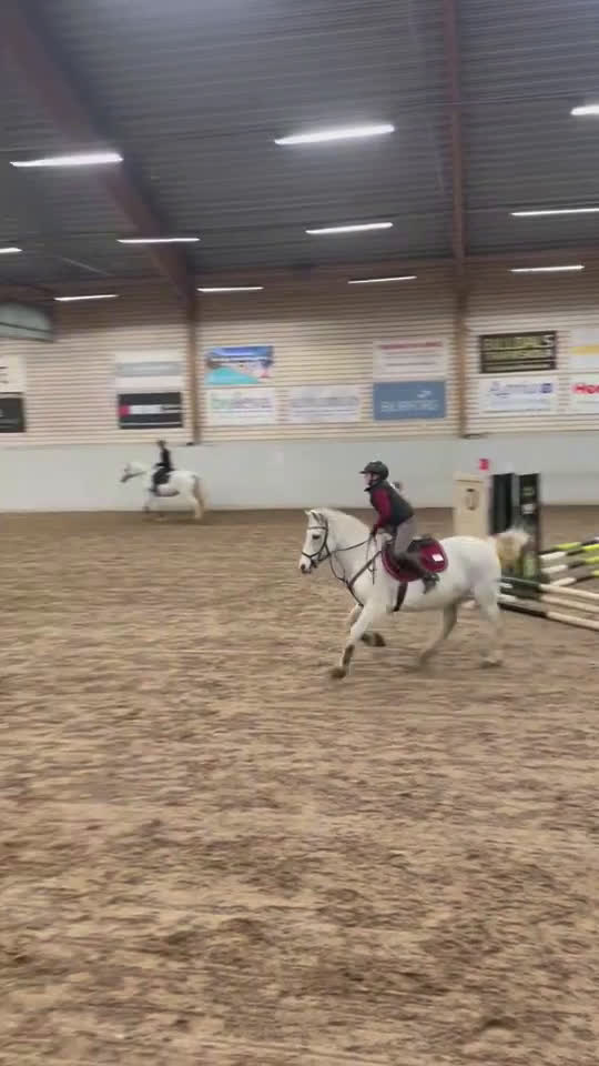  foderhäst sökes: Hoppglad ponny sökes, senare köp - Video 1