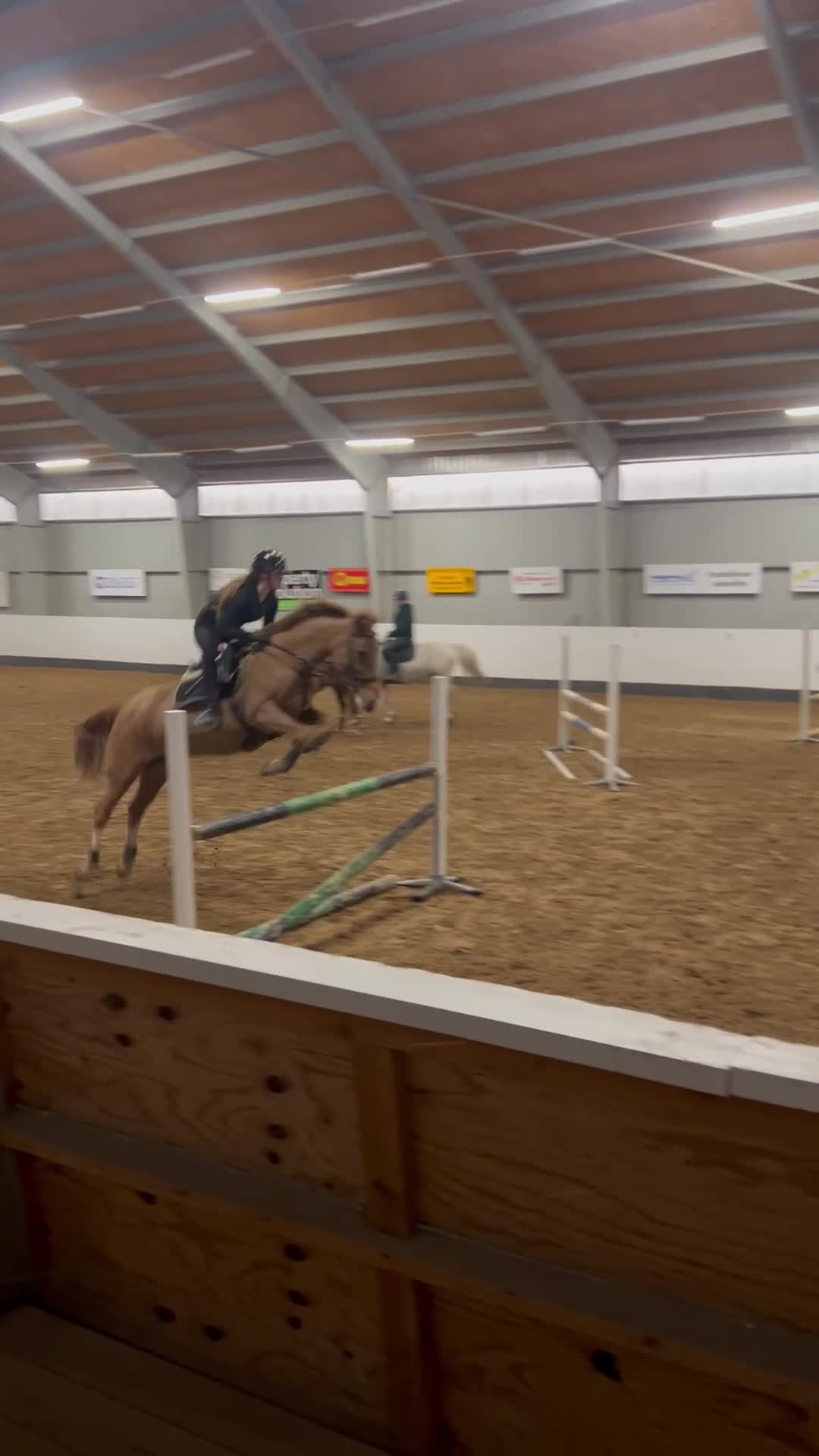 Övrigt hästar till salu: Rehab, läromästare  - Video 5
