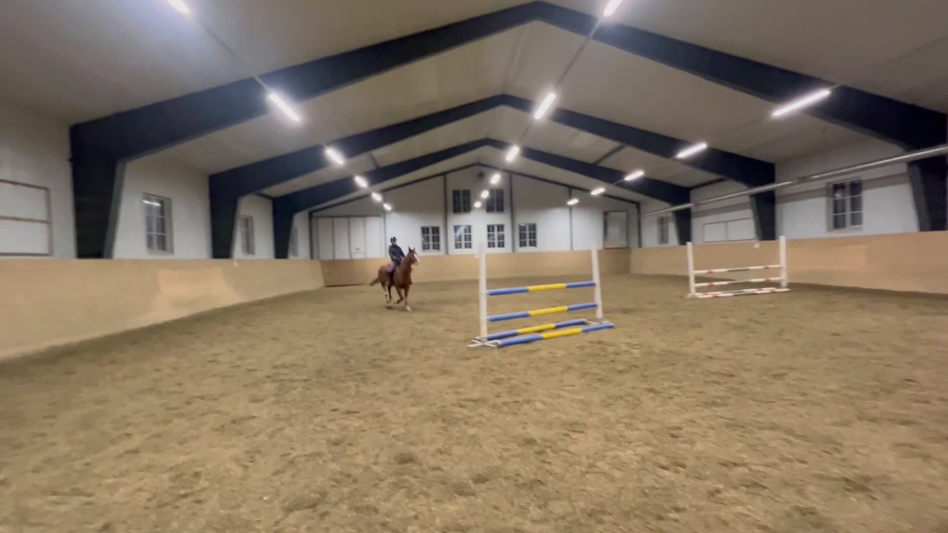 Allround hästar till salu: Vackert allround sto.  i Åre - Video 1