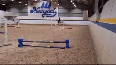 Allround hästar till salu: Charmig kille med hjärta av guld!💙🚀 i Varberg - Video 5