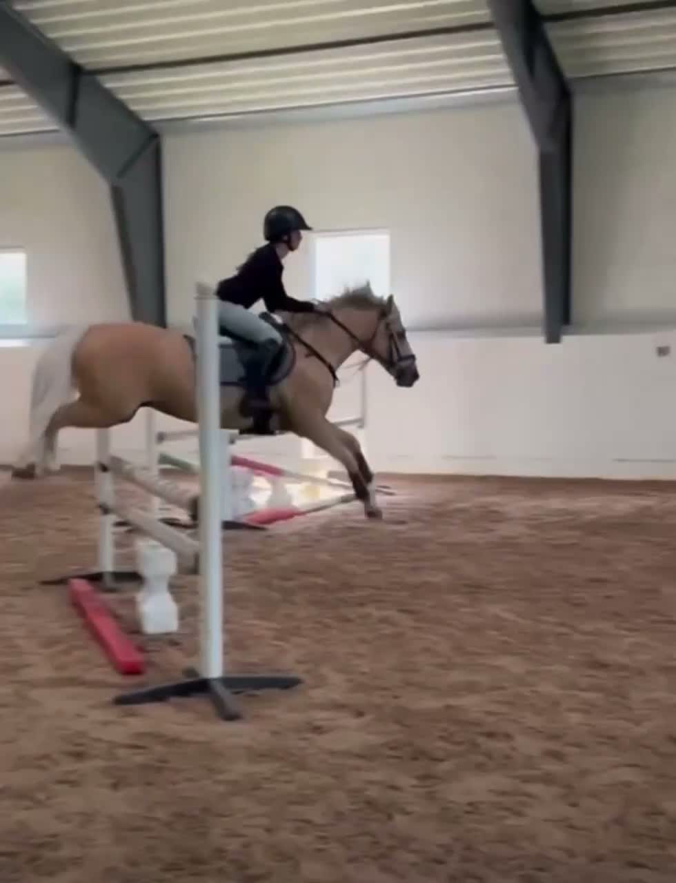Hoppning hästar till salu: Sportig snäll ponny med mkt energi - Video 1