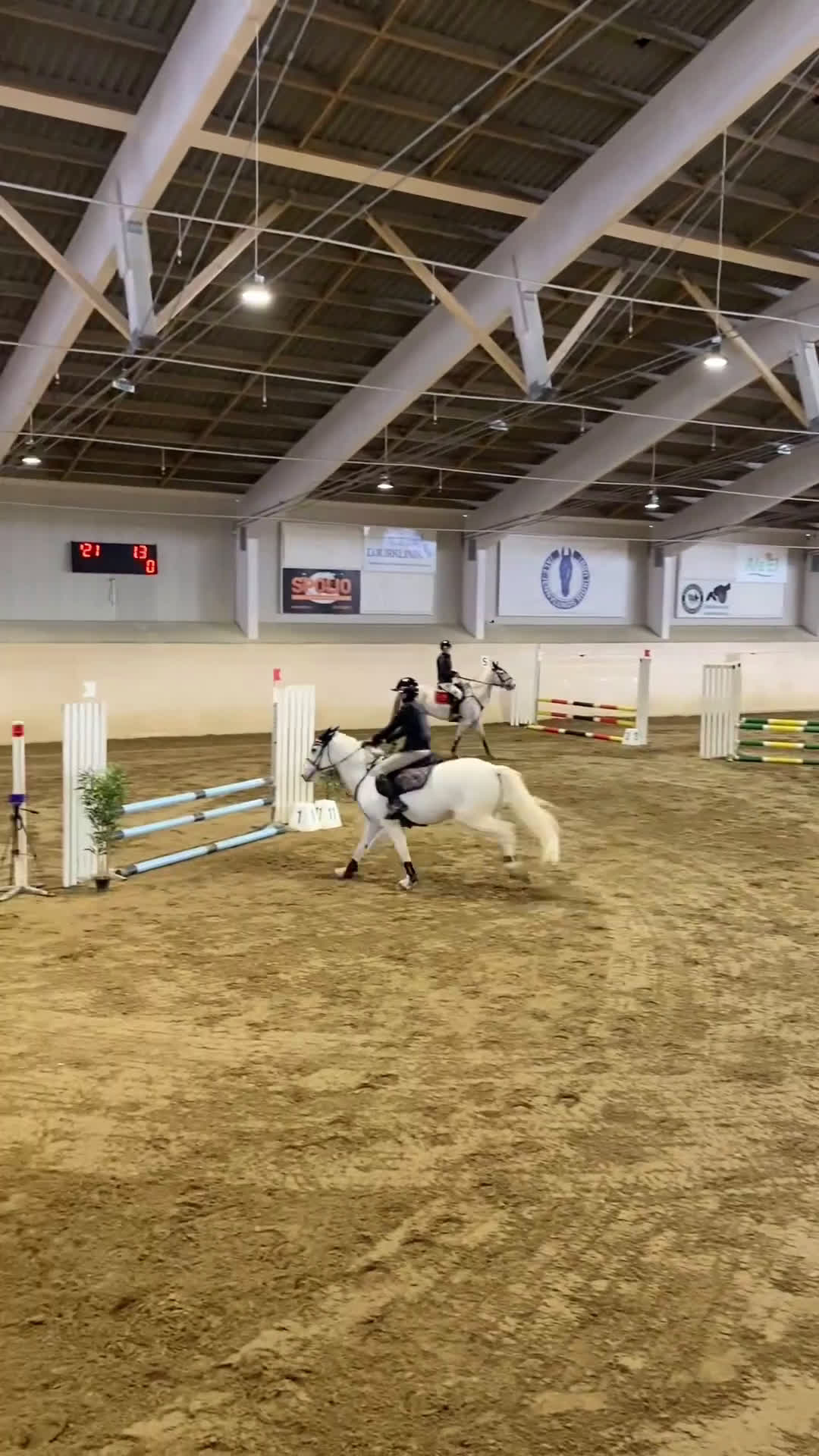 Allround hästar till salu: Drömponny redo för nya äventyr 🦄 i Vallda - Video 3