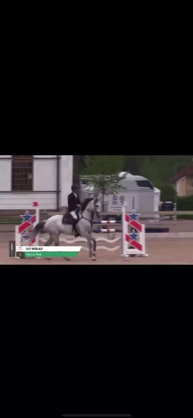 Hoppning hästar till salu: 2 fina kvalitetshästar i Söderköping - Video 5