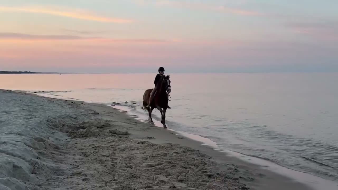 Allround hästar till salu: Första ponny och bästa läromästare - Video 2