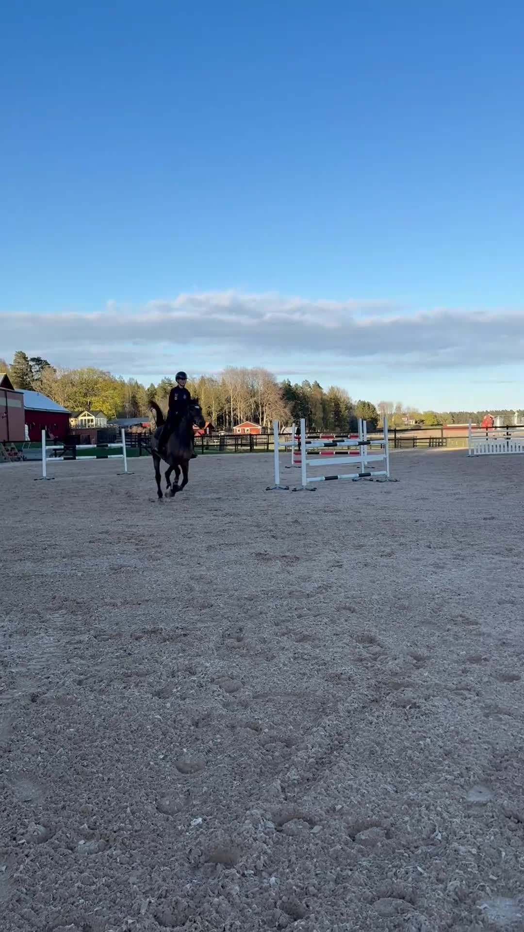 Hoppning hästar till salu: Härligt sto - Video 1