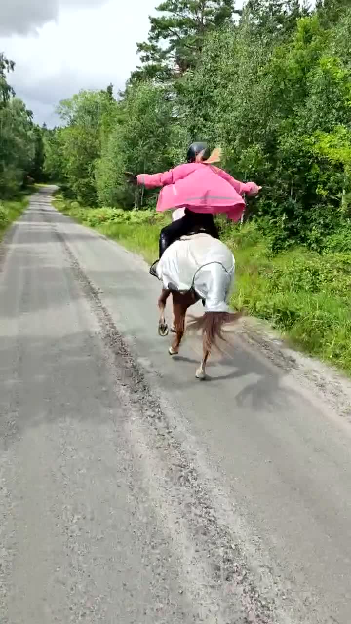 Allround hästar till salu: Snäll första ponny för tävling/kompis i skogen.  i Västra Tunhem - Video 2